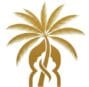 dina Events Shows